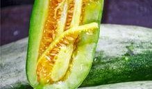 盐城网红吃瓜群众是谁啊,揭秘盐城网红“吃瓜群众”背后的故事