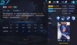 王者荣耀鲍云爆料视频